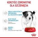 ROYAL CANIN Mini Puppy 12x85g Royal Canin