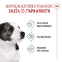 ROYAL CANIN Mini Puppy 800g Royal Canin
