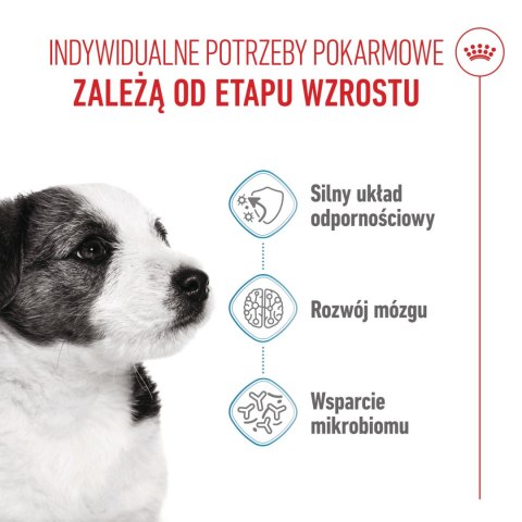 ROYAL CANIN Mini Puppy 800g Royal Canin