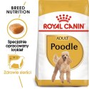 ROYAL CANIN Poodle Adult 1,5kg Royal Canin