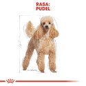ROYAL CANIN Poodle Adult 1,5kg Royal Canin