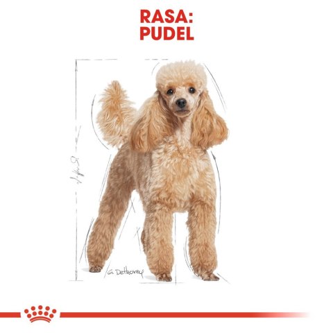 ROYAL CANIN Poodle Adult 1,5kg Royal Canin