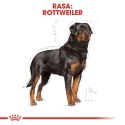 ROYAL CANIN Rottweiler Adult 12kg Royal Canin