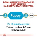 ROYAL CANIN Shih Tzu Puppy 500g Royal Canin
