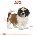 ROYAL CANIN Shih Tzu Puppy 500g Royal Canin