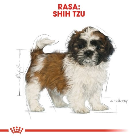 ROYAL CANIN Shih Tzu Puppy 500g Royal Canin