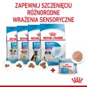 ROYAL CANIN Starter Mousse Mother & Babydog 195g Royal Canin