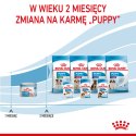 ROYAL CANIN Starter Mousse Mother & Babydog 195g Royal Canin