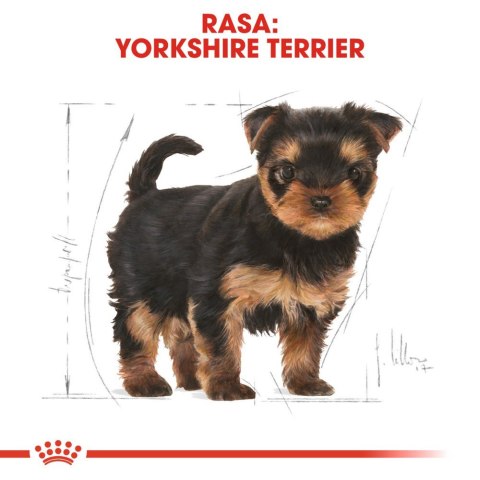 ROYAL CANIN Yorkshire Terrier Puppy 1,5kg Royal Canin