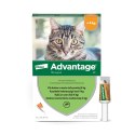 Bayer Advantage Roztwór Do Nakrapiania Dla Kotów 4x0,4ml Bayer