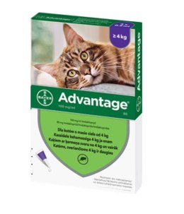 Bayer Advantage Roztwór Do Nakrapiania Dla Kotów 4x0,8ml Bayer
