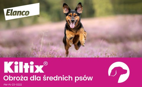 Bayer Kiltix Obroża Na Kleszcze I Pchły Dla Psa 53cm Bayer
