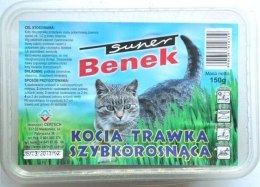 CERTECH-SUPER BENEK Trawka Dla Kota 150g Certech-Super Benek