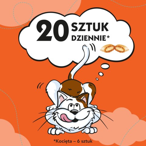 DREAMIES Przysmak Dla Kota Z Kurczakiem 180g Dreamies