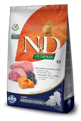 Farmina N&D Pumpkin Grain Free Canine Puppy Medium&Maxi Lamb&Blueberry 12kg Farmina