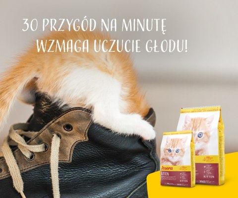 Josera Kitten 10kg Josera