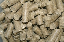 KERBL Delizia Smakołyki Malina 1kg Kerbl