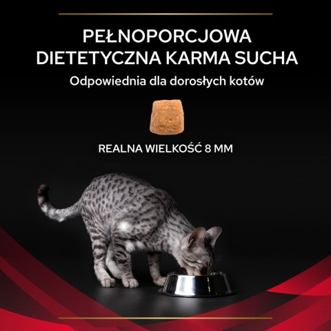 PURINA Pro Plan Veterinary Diets DM Diabetes Management Cat 5kg PRO PLAN Veterinary Diets
