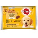 Pedigree Mokra Karma Dla Szczeniąt W Galaretce (Z Kurczakiem I Ryżem, Z Wołowiną I Ryżem) 4x100g Pedigree