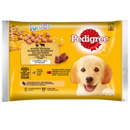 Pedigree Mokra Karma Dla Szczeniąt W Galaretce (Z Kurczakiem I Ryżem, Z Wołowiną I Ryżem) 4x100g Pedigree