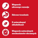 Pedigree Mokra Karma Dla Szczeniąt W Galaretce (Z Kurczakiem I Ryżem, Z Wołowiną I Ryżem) 4x100g Pedigree