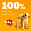 Pedigree Mokra Karma Dla Szczeniąt W Galaretce (Z Kurczakiem I Ryżem, Z Wołowiną I Ryżem) 4x100g Pedigree