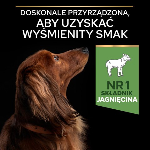 Purina Pro Plan Small & Mini Adult OptiDigest Jagnięcina 7kg Purina Pro Plan