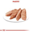 ROYAL CANIN CCN Exigent Pasztet 12x85g Royal Canin