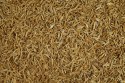 Tetra Anchovies 1l TETRA