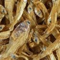 Tetra Anchovies 1l TETRA