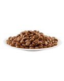 APPLAWS Complete Dry Adult Chicken 2kg Applaws