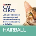 Purina Cat Chow Hairball Karma Z Kurczakiem I Zieloną Fasolką W Sosie 85g Purina Cat Chow