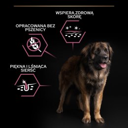 Purina Pro Plan Large Adult Robust Optiderma Łosoś Z Ryżem 14kg Purina Pro Plan
