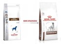 ROYAL CANIN Gastrointestinal Dog 15kg Royal Canin weterynaria