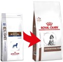 ROYAL CANIN Gastrointestinal Puppy 1kg Royal Canin weterynaria