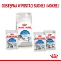 ROYAL CANIN Indoor Sterilised W Galaretce 12x85g Royal Canin