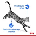 ROYAL CANIN Indoor Sterilised W Galaretce 12x85g Royal Canin