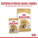 ROYAL CANIN Shih Tzu Adult 12x85g Royal Canin