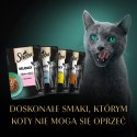 Sheba Fine Flakes In Jelly Saszetka 4x85g Sheba