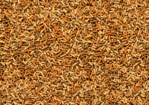 Tetra Pond Variety Sticks 1l TETRA