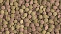 Tetra Tablets TabiMin XL 133 Tabletki TETRA