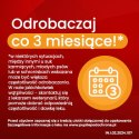 Vet-Agro InPar Tabletki Odrobaczające Dla Psa 2szt Vet-Agro
