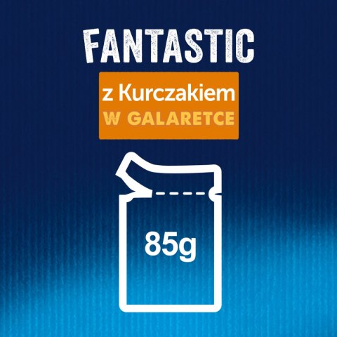 Felix Fantastic Kurczak W Galaretce 85g Felix