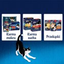 Felix Fantastic Łosoś W Galaretce 85g Felix