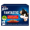 Felix Fantastic Wiejskie Smaki W Galaretce 24x85g Felix