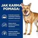 Hill's PD Prescription Diet Canine i/d Gulasz 354g Hills