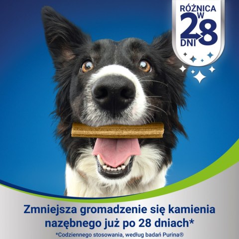 PURINA Dentalife Large 142g Purina