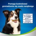 PURINA Dentalife Large 142g Purina