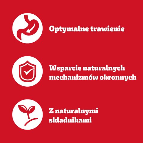 Pedigree Mokra Karma Dla Dorosłych Psów Saszetka Mix Smaków (Z Kurczakiem I Warzywami, Z Wołowiną I Warzywami, Z Indykiem I Marc Pedigree