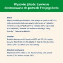 Purina Cat Chow Sterilised Karma Z Kurczakiem I Bakłażanem W Sosie 85g Purina Cat Chow